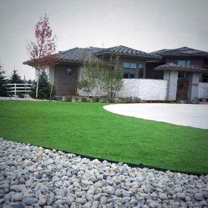 Outdoor Carpet Mountain Ranch, California Lawn And Garden, Front Yard Landscape Ideas