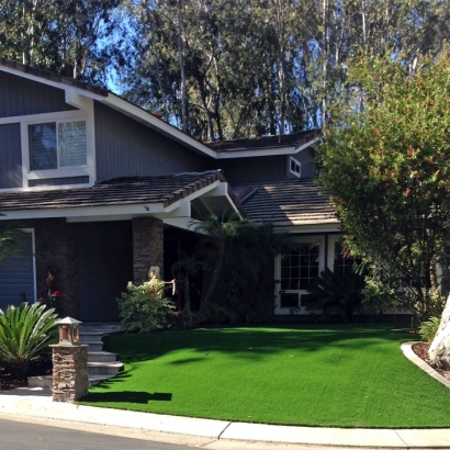 Outdoor Carpet West Point, California Landscape Design, Front Yard Ideas