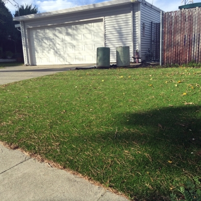 Plastic Grass Black Point-Green Point, California Rooftop, Landscaping Ideas For Front Yard