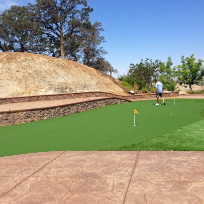 Plastic Grass East Sonora, California Putting Green Turf, Backyard Makeover