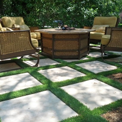 Plastic Grass Escalon, California Design Ideas, Backyard Ideas