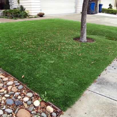 Plastic Grass Honcut, California Rooftop, Front Yard Landscaping