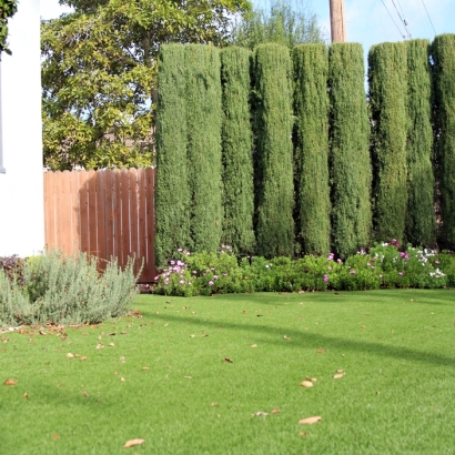 Plastic Grass Mountain View, California Design Ideas, Front Yard Ideas