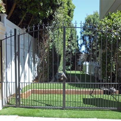 Plastic Grass Sausalito, California Garden Ideas, Landscaping Ideas For Front Yard