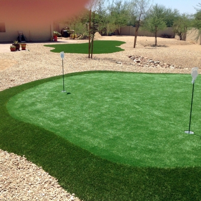 Plastic Grass Stanford, California Putting Greens, Beautiful Backyards