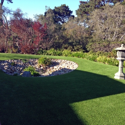 Plastic Grass Trowbridge, California City Landscape, Backyards