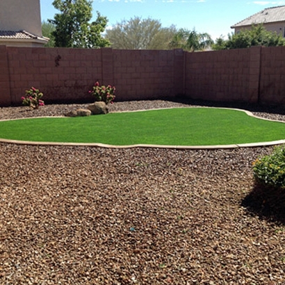 Plastic Grass Williams, California Landscaping, Backyard Landscaping