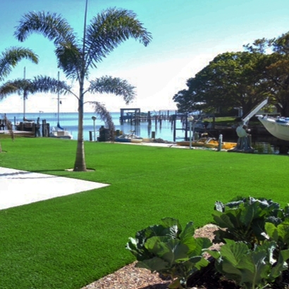 Synthetic Grass Bayview, California Lawns, Natural Swimming Pools