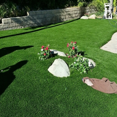 Synthetic Grass Denair, California Rooftop, Front Yard Ideas