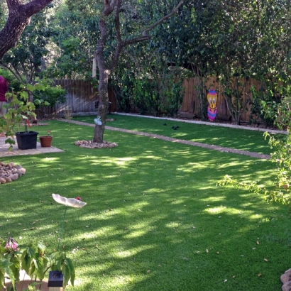 Synthetic Grass Grayson, California Roof Top, Backyard Landscaping