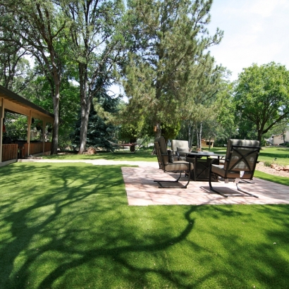 Synthetic Grass North Auburn, California Backyard Playground, Backyard Landscaping Ideas