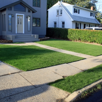 Synthetic Lawn Ashland, California Landscape Photos, Front Yard Landscape Ideas