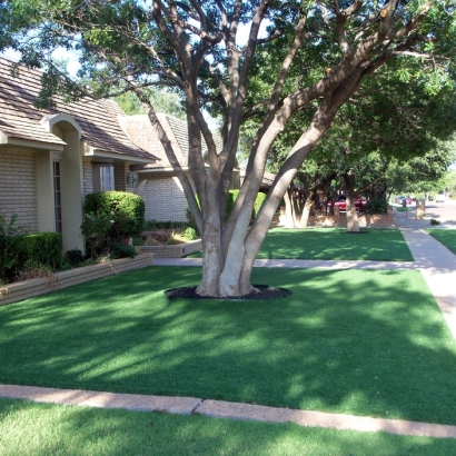 Synthetic Lawn El Sobrante, California Landscaping, Front Yard Landscaping