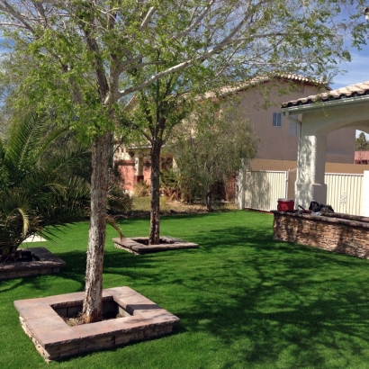 Synthetic Lawn Pike, California Design Ideas, Front Yard Landscaping Ideas