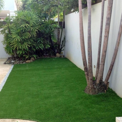 Synthetic Turf Bodega Bay, California Home And Garden, Backyard Makeover