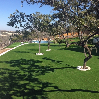 Synthetic Turf Fairfax, California Indoor Putting Greens, Kids Swimming Pools