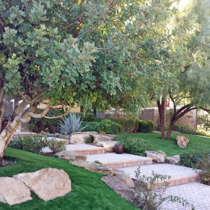 Synthetic Turf Forest Meadows, California Home And Garden, Backyard Design