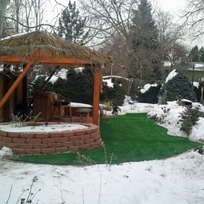 Synthetic Turf Rohnert Park, California Landscaping, Snow