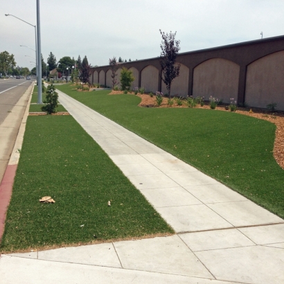 Synthetic Turf Supplier Gridley, California Design Ideas, Commercial Landscape