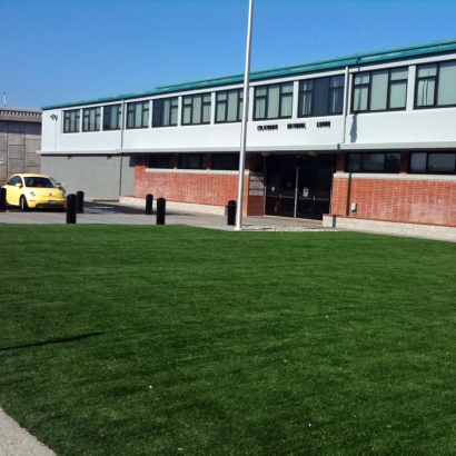 Synthetic Turf Supplier Isleton, California Roof Top, Commercial Landscape