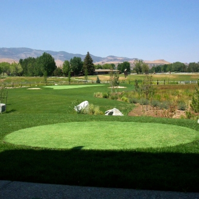 Synthetic Turf Supplier Twain Harte, California Indoor Putting Greens, Backyard Design