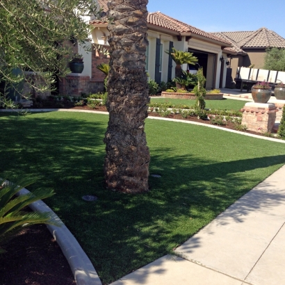 Turf Grass August, California Rooftop, Front Yard Landscape Ideas