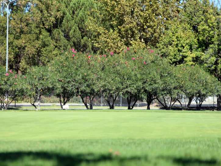 Artificial Grass Carpet Burlingame, California Best Indoor Putting Green