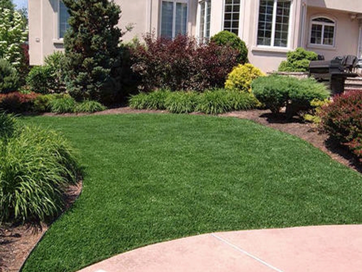 Artificial Grass Carpet Country Club, California Rooftop, Landscaping Ideas For Front Yard