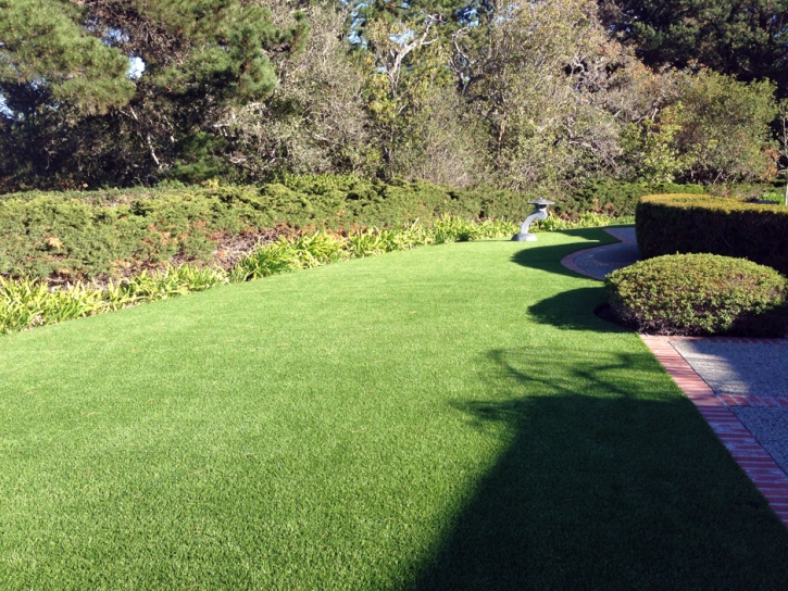 Artificial Grass Carpet Danville, California Rooftop, Front Yard