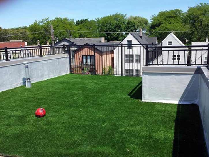 Artificial Grass Carpet Meridian, California Home And Garden, Roof Top