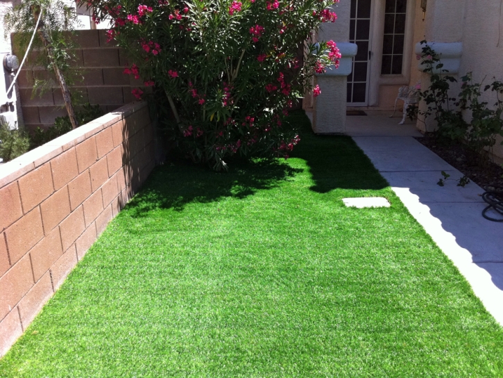 Artificial Grass Carpet Oakdale, California Landscaping, Front Yard