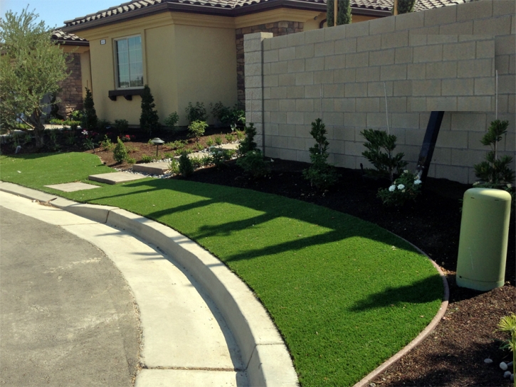 Artificial Grass Carpet Santa Clara, California Rooftop, Front Yard Ideas