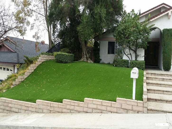 Artificial Grass Carpet Sierra City, California Landscaping, Front Yard Ideas