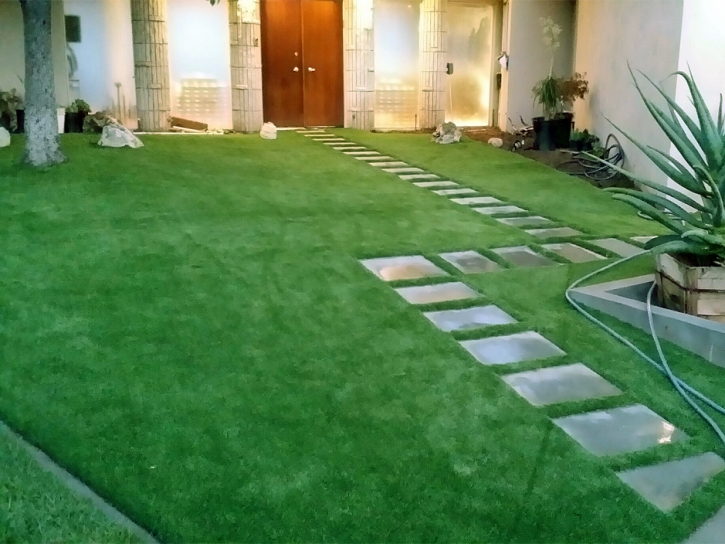 Artificial Grass Carpet Turlock, California Design Ideas, Front Yard Landscaping Ideas