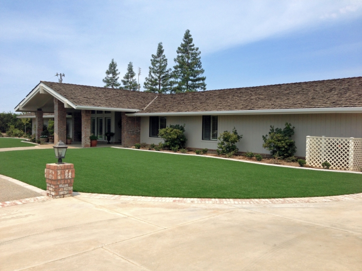 Artificial Grass Installation Colusa, California Gardeners, Front Yard Landscaping Ideas