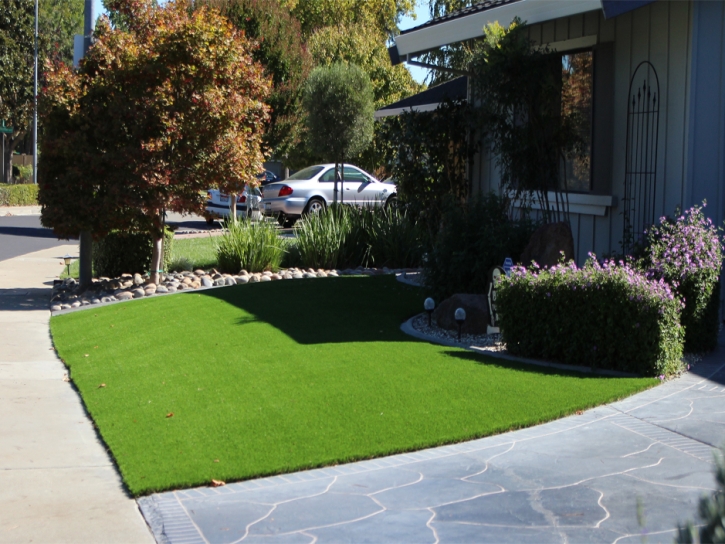 Artificial Grass Installation Salmon Creek, California Landscape Design, Front Yard Landscaping Ideas