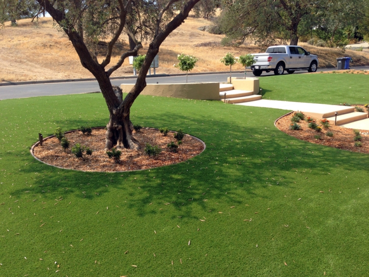 Artificial Grass Lodoga, California Lawns, Landscaping Ideas For Front Yard