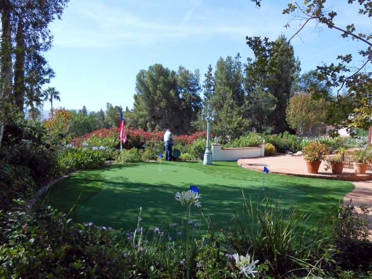 Artificial Grass Mill Valley, California Lawn And Landscape, Backyard Landscaping