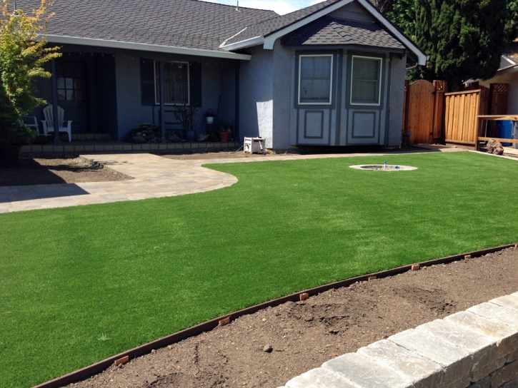 Artificial Grass Rancho Calaveras, California Landscaping Business, Front Yard Landscaping Ideas