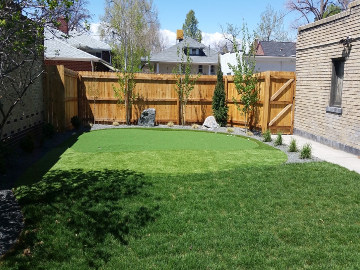 Artificial Grass River Pines, California Garden Ideas, Backyard Design