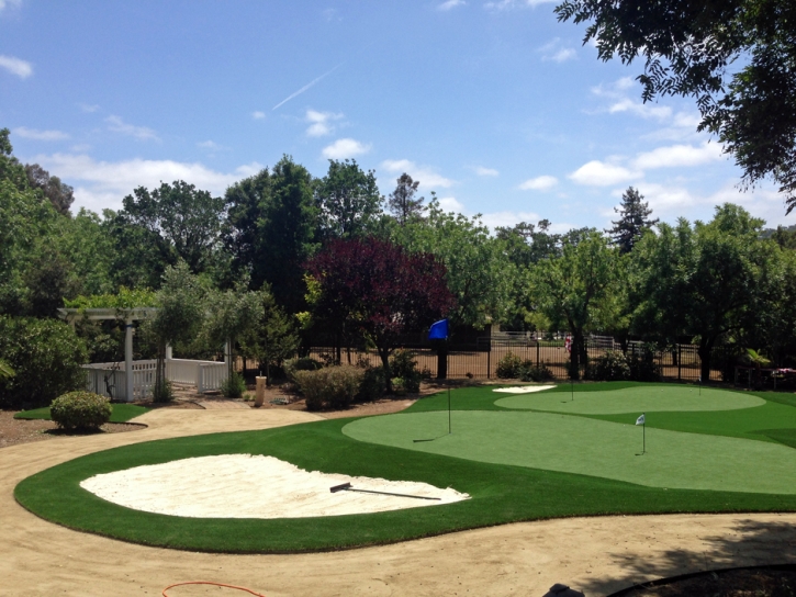 Artificial Grass Stockton, California Backyard Playground, Front Yard Ideas