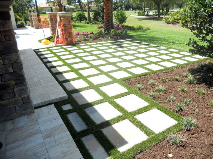 Artificial Lawn Fulton, California Landscape Ideas, Backyard