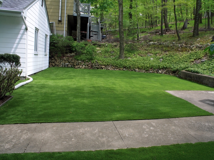 Artificial Turf Albany, California Landscape Ideas, Front Yard Landscaping Ideas