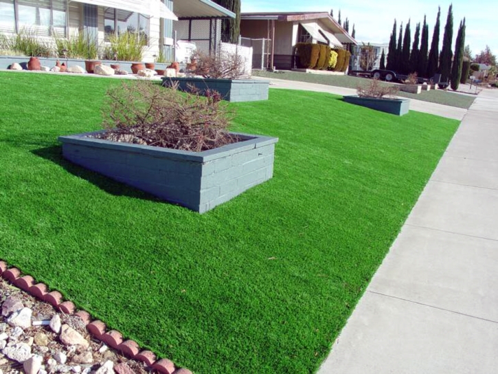 Artificial Turf Bayview, California Roof Top, Small Front Yard Landscaping