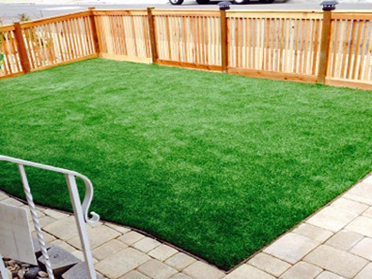 Artificial Turf Bloomfield, California Design Ideas, Backyard Makeover