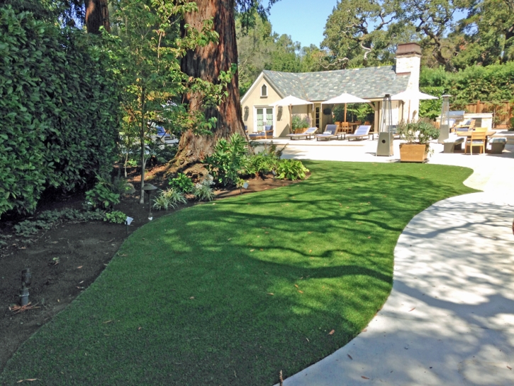 Artificial Turf Cost Nevada City, California Landscape Design, Commercial Landscape