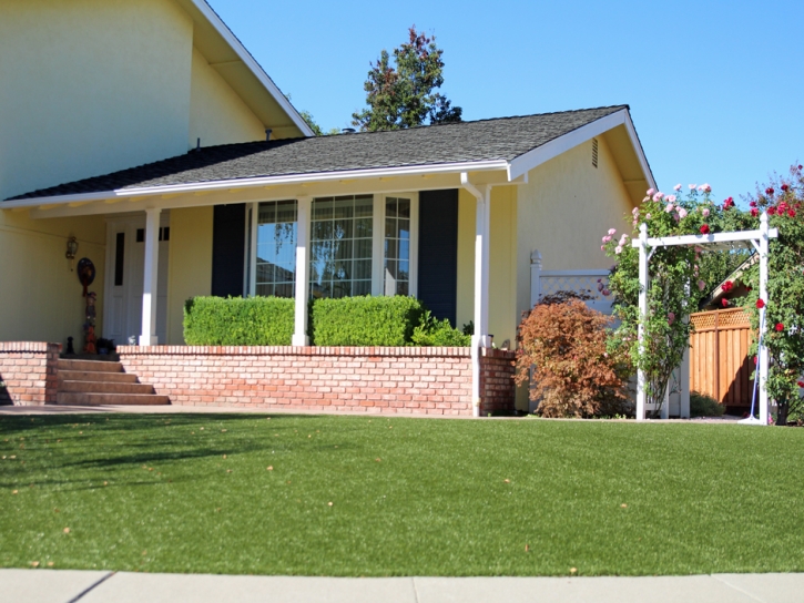 Artificial Turf Cost Pike, California Landscape Photos, Front Yard Design