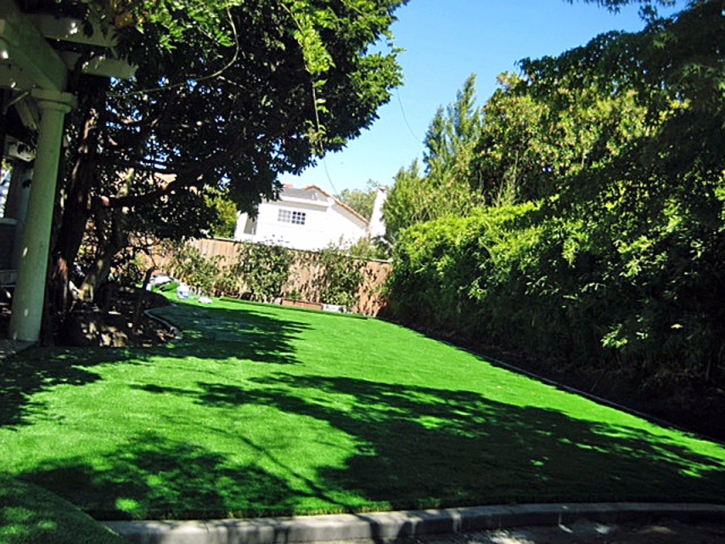 Artificial Turf Cost Shingle Springs, California Landscape Rock, Backyard Designs