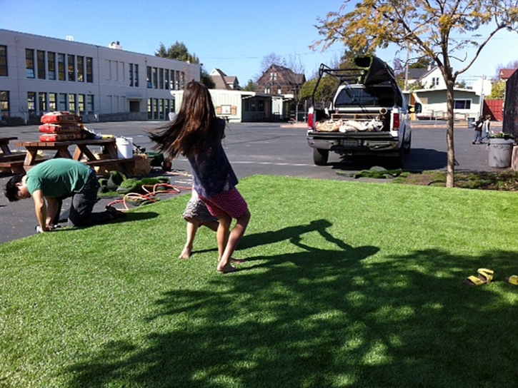 Artificial Turf Del Rio, California Roof Top, Commercial Landscape