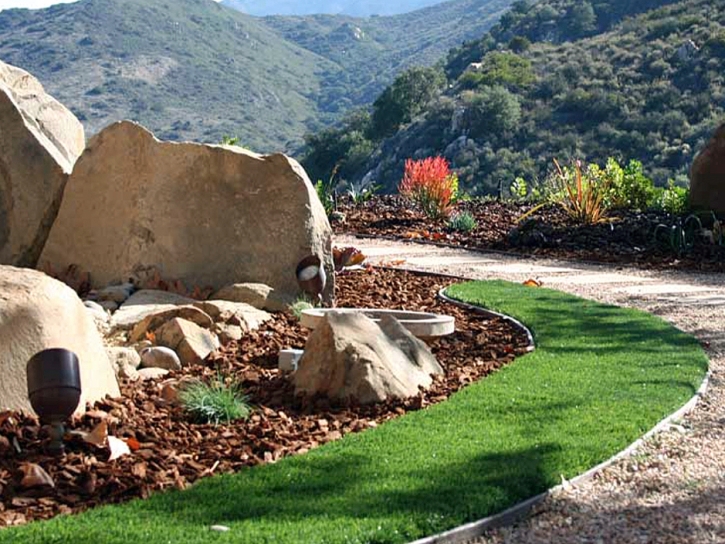 Artificial Turf Installation Biggs, California Landscape Design, Front Yard